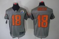 Nike Bengals -18 A J  Green Grey Shadow With Hall of Fame 50th Patch Stitched NFL Elite Jersey