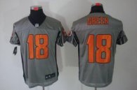 Nike Bengals -18 A J  Green Grey Shadow Stitched NFL Elite Jersey