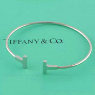 Tiffany-bracelet (295)