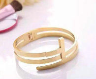 Tiffany-bracelet (230)