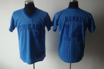 Chicago Cubs -14 Ernie Banks Blue White Strip Stitched Cooperstown Throwback MLB Jersey Chicago Cubs -14 Ernie Banks Blue White Strip Stitched Cooperstown Throwback MLB Jersey