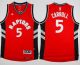 Toronto Raptors -5 DeMarre Carroll Red Stitched NBA Jersey
