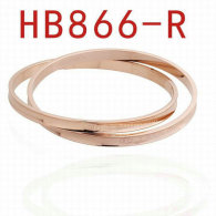 Tiffany-bracelet (724)