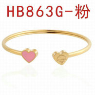 Tiffany-bracelet (730)