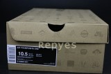 Authentic Nike Air Foamposite One Eggplant