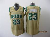 Miami Heat -23 LeBron James Earth Yellow Irish High School Stitched NBA Jersey Miami Heat -23 LeBron James Earth Yellow Irish High School Stitched NBA Jersey