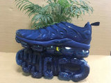 Nike Air VaporMax Plus Blue