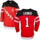 Olympic CA 1 Roberto Luongo Red 100th Anniversary Stitched NHL Jersey