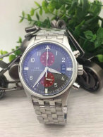 IWC watches (1)