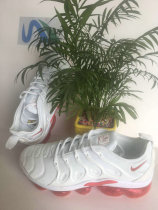 Nike Air VaporMax Plus 010