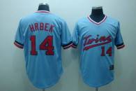 Minnesota Twins -14 Kent Hrbek Stitched Light Blue Cooperstown Throwback MLB Jersey