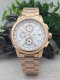 IWC watches (17)
