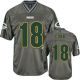 Nike Green Bay Packers #18 Randall Cobb Grey Men's Stitched NFL Elite Vapor Jersey