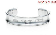 Tiffany-bracelet (545)