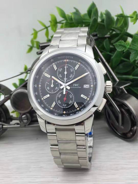 IWC watches (20)
