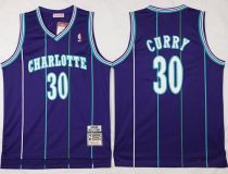 Mitchell And Ness Charlotte Hornets -30 Dell Curry Purple Throwback Stitched NBA Jersey