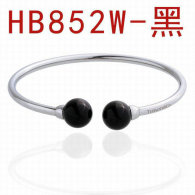 Tiffany-bracelet (689)