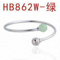 Tiffany-bracelet (695)