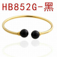 Tiffany-bracelet (683)