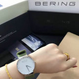 Bering watches (1)