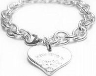 Tiffany-bracelet (631)