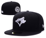 Toronto Blue Jays hat 009