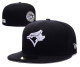 Toronto Blue Jays hat 009