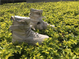 Authentic Nike Special Field Air Force 1 “String/Gum”