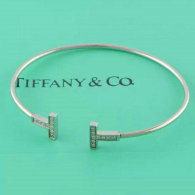 Tiffany-bracelet (292)