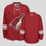 Arizona Coyotes Blank Stitched Red NHL Jersey