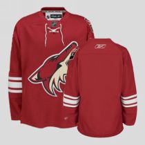 Arizona Coyotes Blank Stitched Red NHL Jersey Arizona Coyotes Blank Stitched Red NHL Jersey