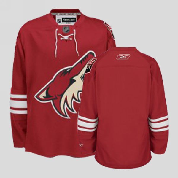 Arizona Coyotes Blank Stitched Red NHL Jersey