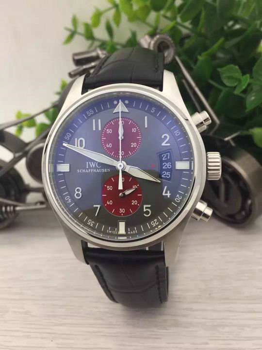 IWC watches (10)