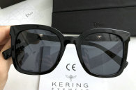 Dior Sunglasses AAA (1867)