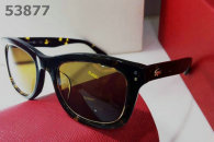 LACOSTE Sunglasses AAA (44)