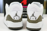 Authentic Air Jordan 3 “Mocha”