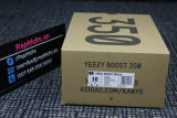 Authentic Y 350 V2 Pink