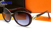 Hermes Sunglasses AAA (31)