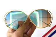 Dior Sunglasses AAA (1855)