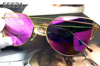 Dior Sunglasses AAA (1153)