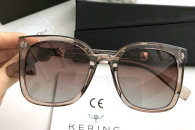 Dior Sunglasses AAA (1869)