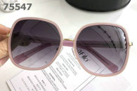 Ferragamo Sunglasses AAA (43)