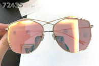 Dior Sunglasses AAA (1899)