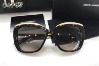 D&G Sunglasses AAA (224)