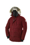 C Down Jacket (416)