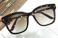Tom Ford Sunglasses AAA (1366)