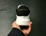 Alexander McQueen Sole Sneakers Shoes (15)