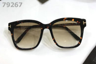 Tom Ford Sunglasses AAA (977)