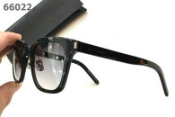 YSL Sunglasses AAA (67)