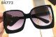 Tom Ford Sunglasses AAA (1477)